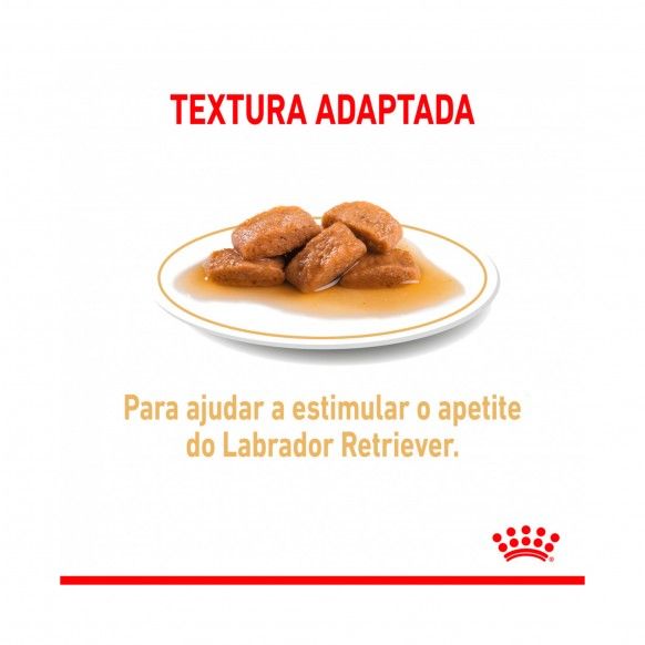 ROYAL CANIN LABRADOR - 140GR