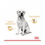 ROYAL CANIN LABRADOR - 140GR ROYAL CANIN LABRADOR - 140GR