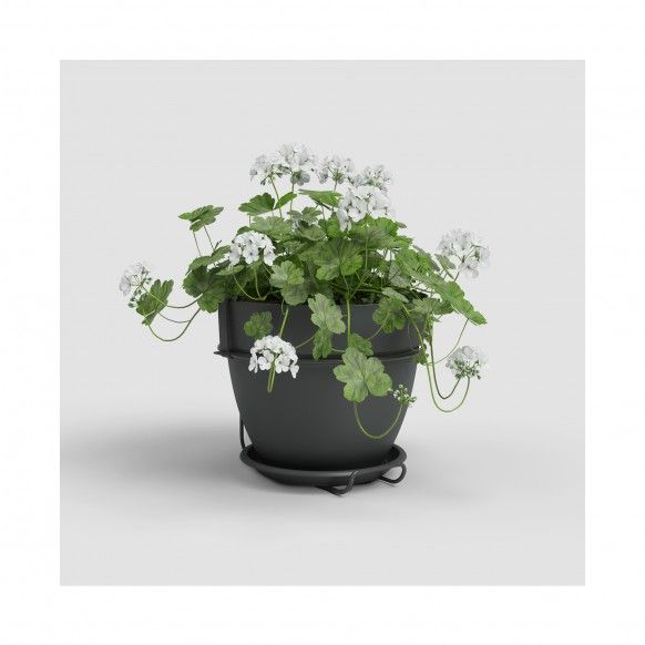 KIT PAREDE VASO CAPRI CAMPANA