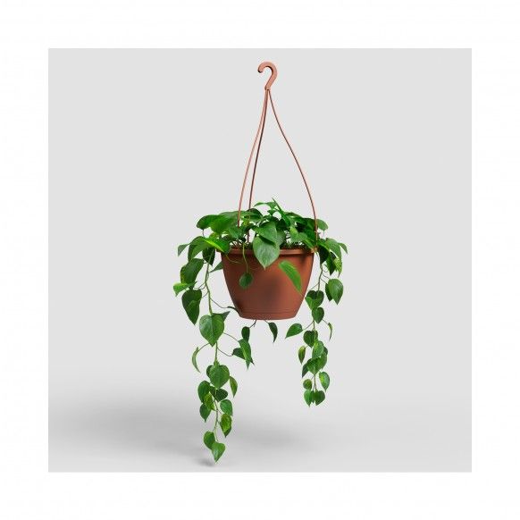 VASO ALGARVE SUSPENSAO