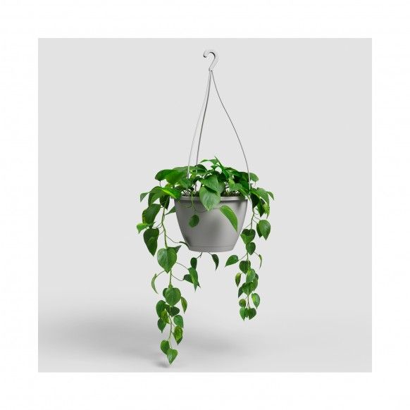 VASO ALGARVE SUSPENSAO