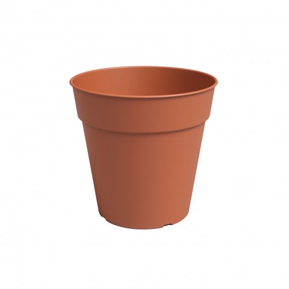 VASO PRODUAO MADAGASCAR