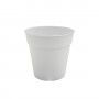 VASO PRODUAO MADAGASCAR ORQUIDEA