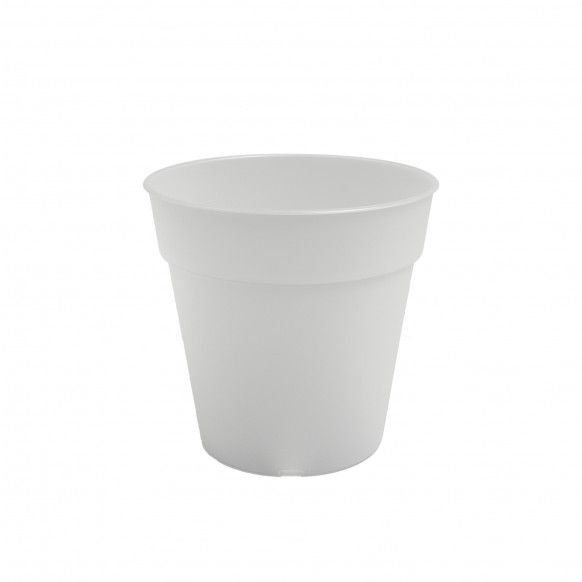 VASO PRODUAO MADAGASCAR ORQUIDEA