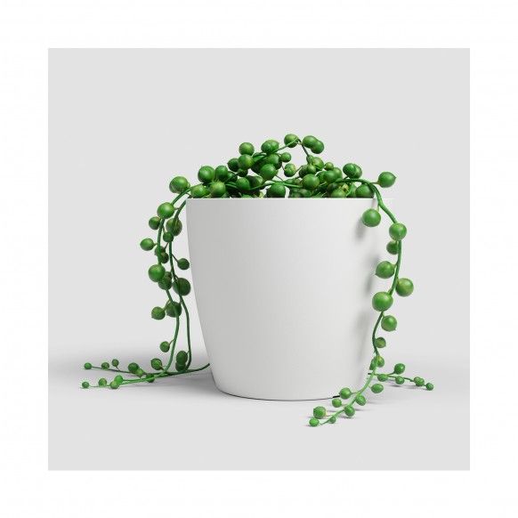 VASO SAN REMO MATE