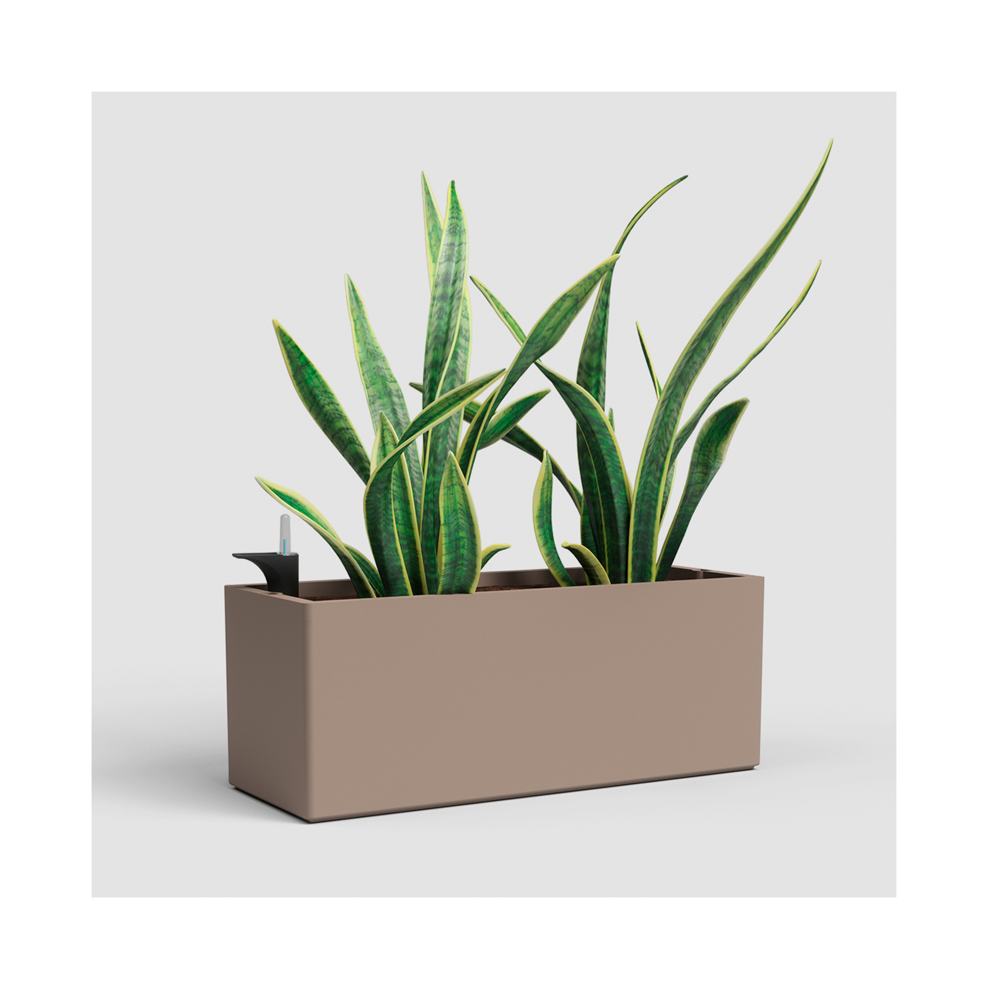 FLOREIRA RIMINI 51CM TORTORA