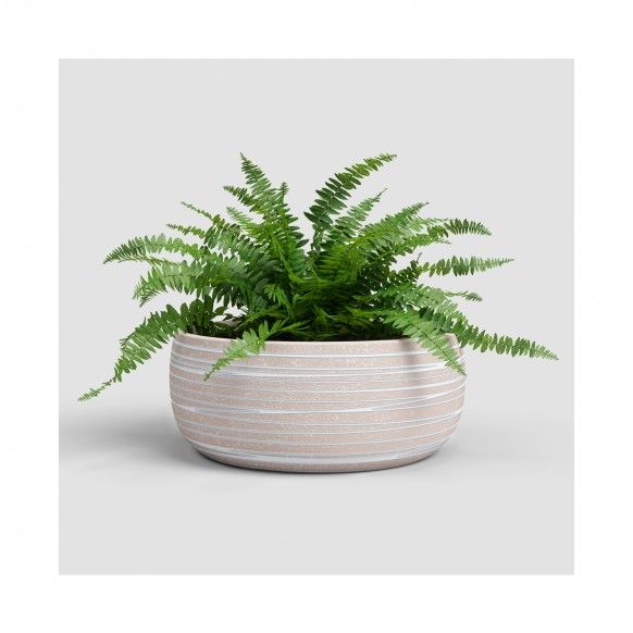 TAA DORIS 29CM CREME