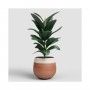 VASO ANTHEIA 20CM TERRACOTA
