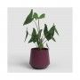 VASO AURORA 14CM BORDO
