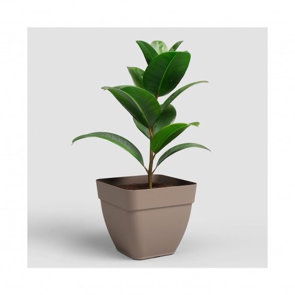 VASO CAPRI CAMPANA QUADRADO 37CM TORTORA