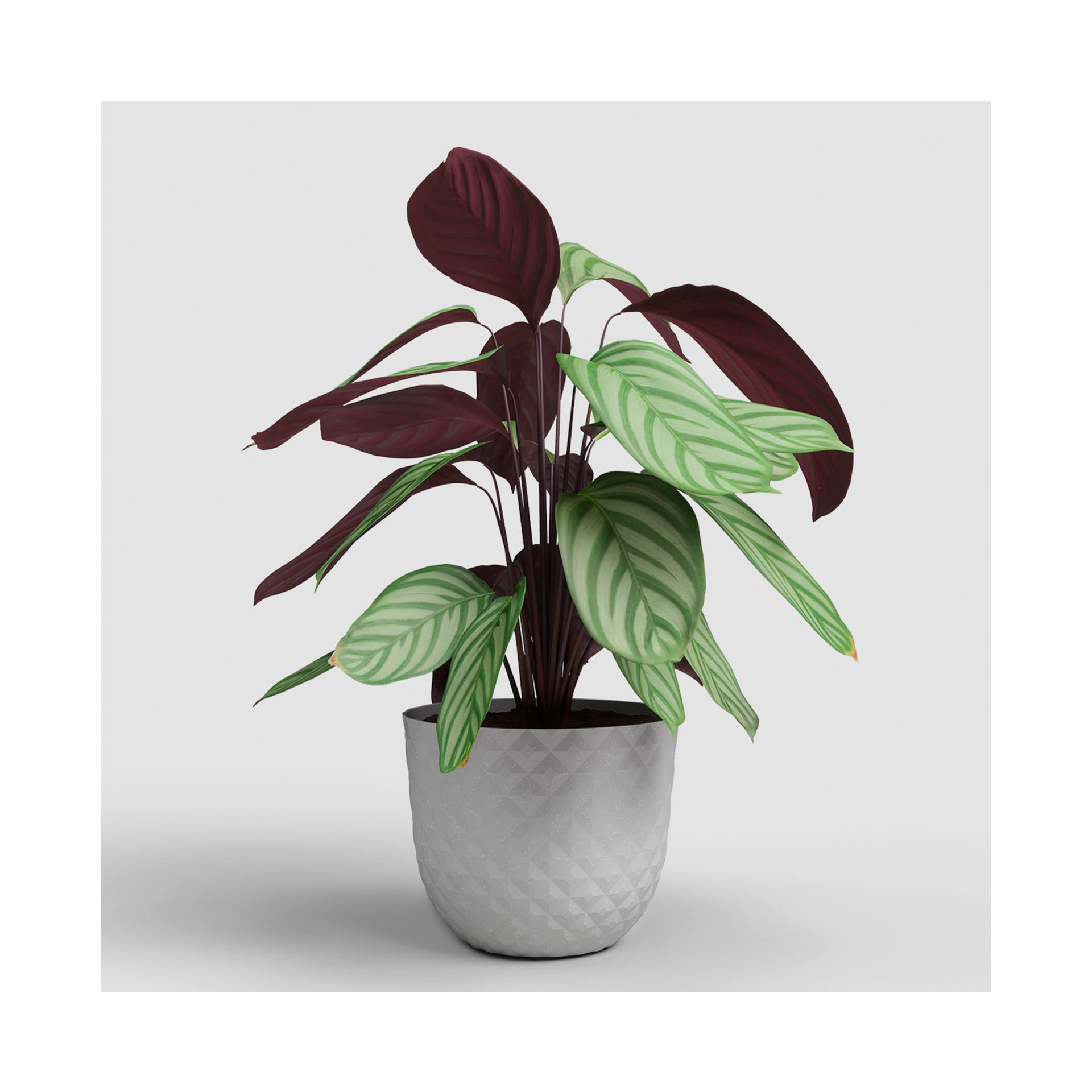 VASO HAVANA TROPICAL 30CM CINZA