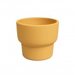 VASO ECHO ALTO