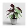 VASO HAVANA TROPICAL 30CM CINZA VASO HAVANA TROPICAL 30CM CINZA