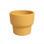 VASO ECHO ALTO VASO ECHO ALTO