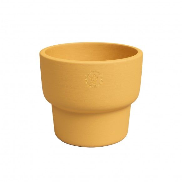 VASO ECHO ALTO