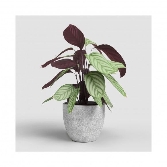 VASO HESTIA 17CM ANTRACITE