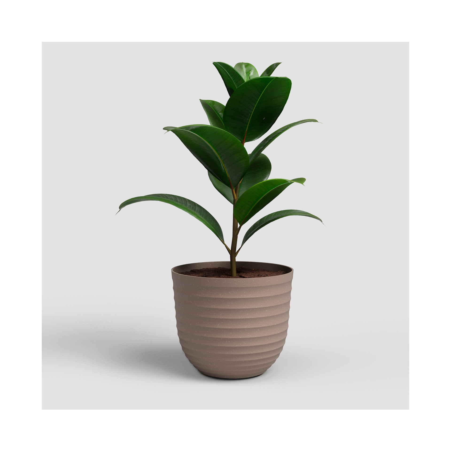 VASO HAVANA WAVES 30CM TORTORA