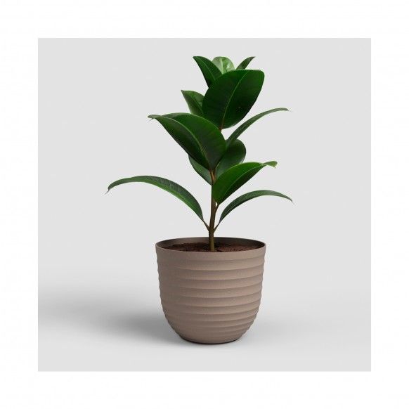 VASO HAVANA WAVES 30CM TORTORA