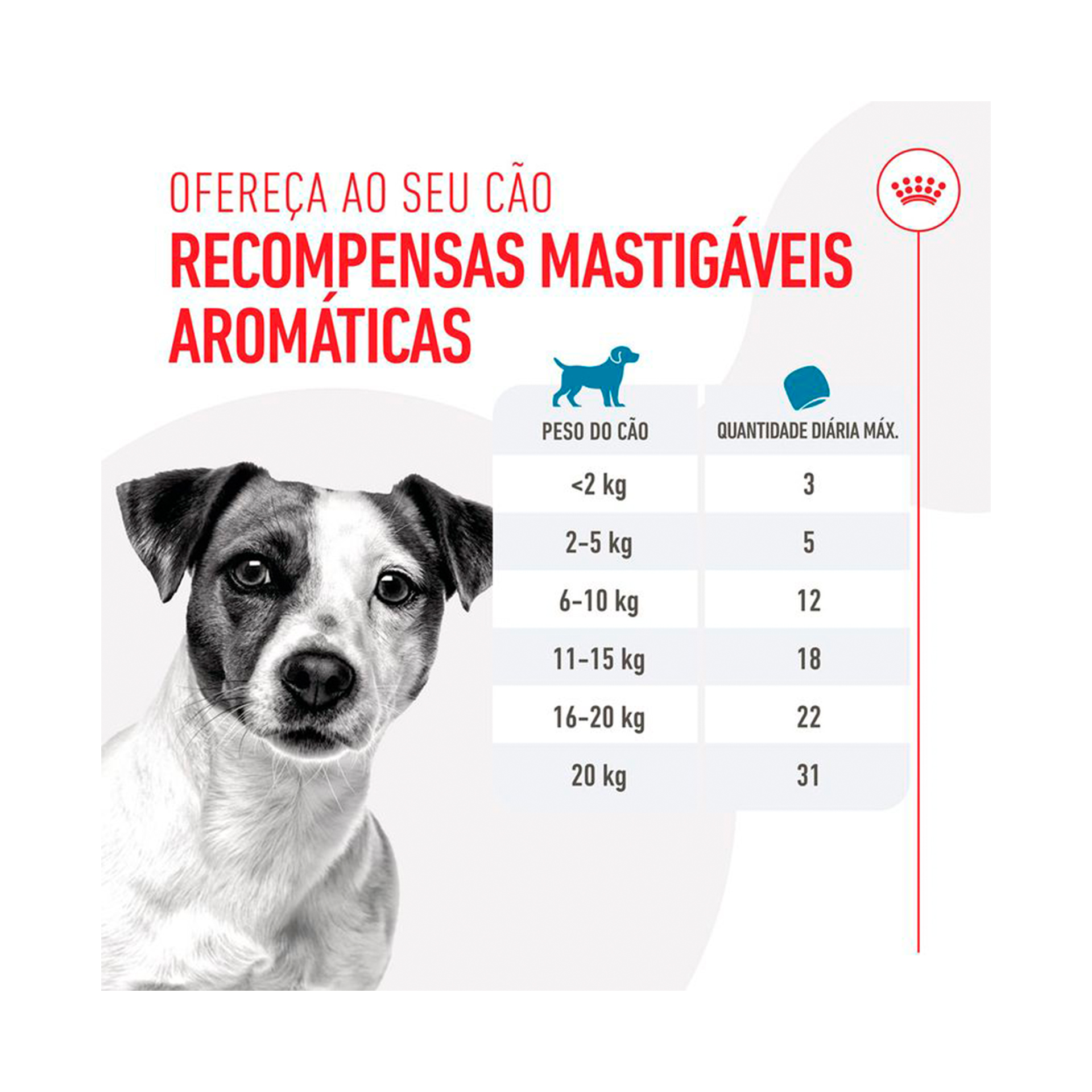 ROYAL CANIN TRAINING TREATS - 110GR