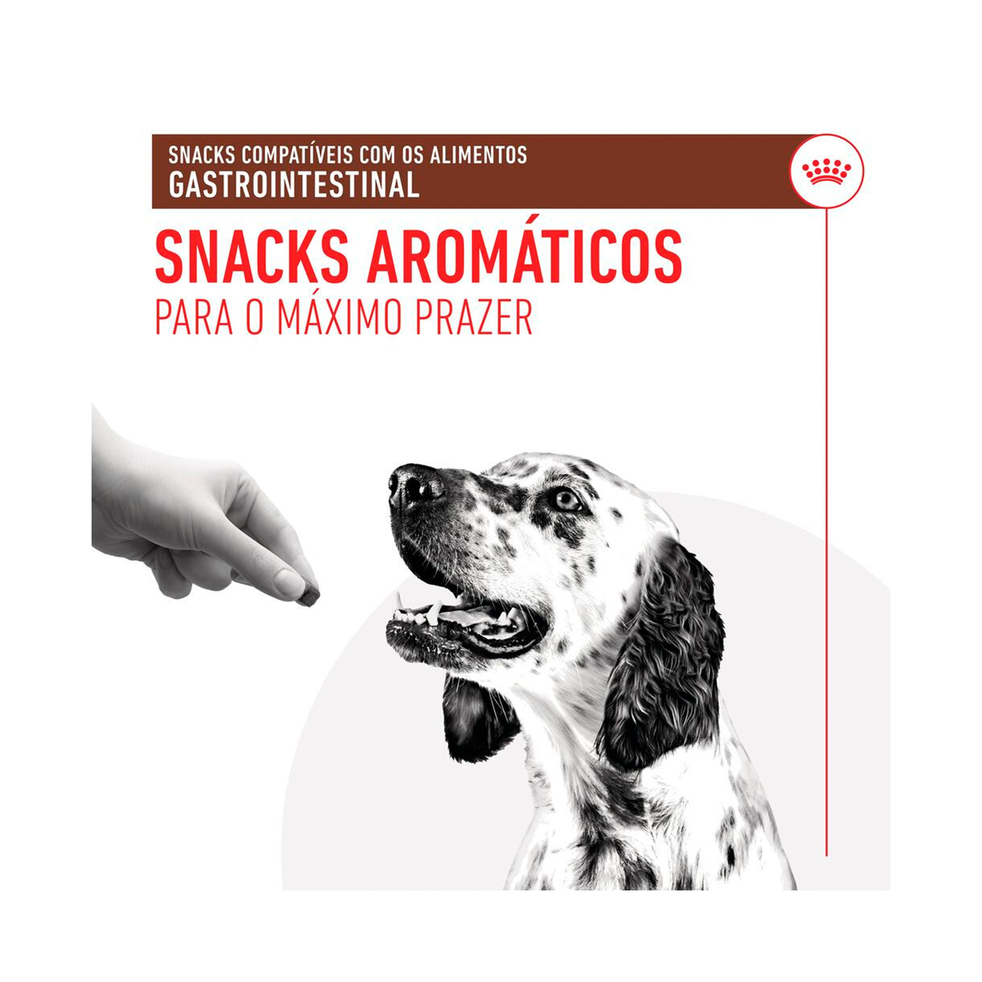 ROYAL CANIN SNACK GASTROINTESTINAL CAO - 230GR