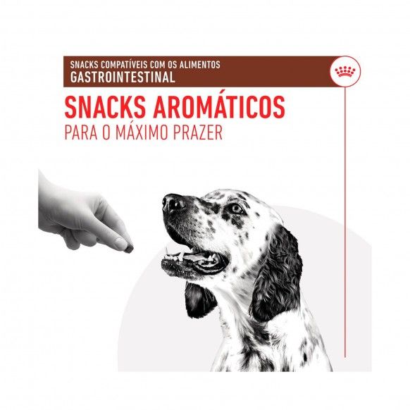 ROYAL CANIN SNACK GASTROINTESTINAL CAO - 230GR