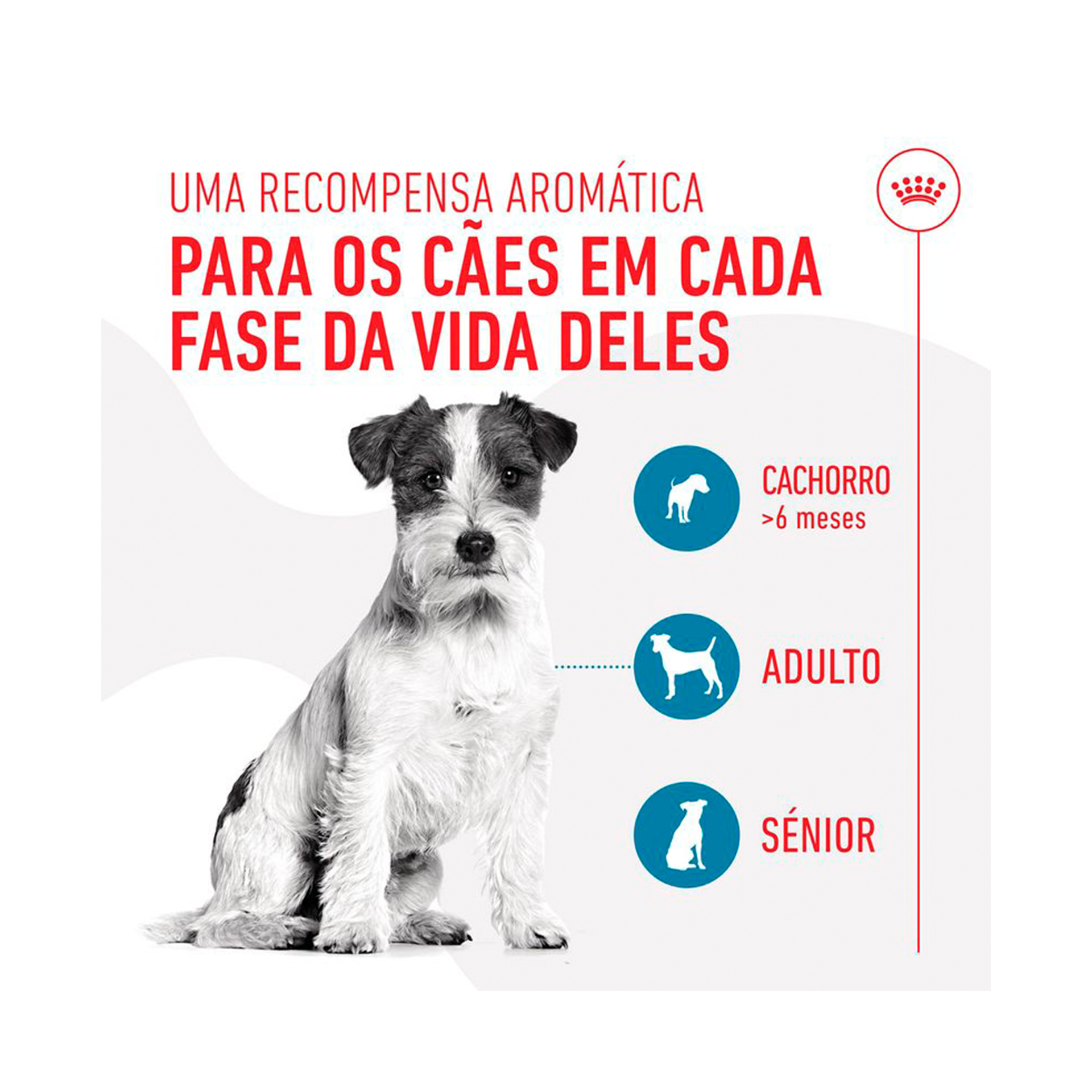 ROYAL CANIN TRAINING TREATS - 110GR