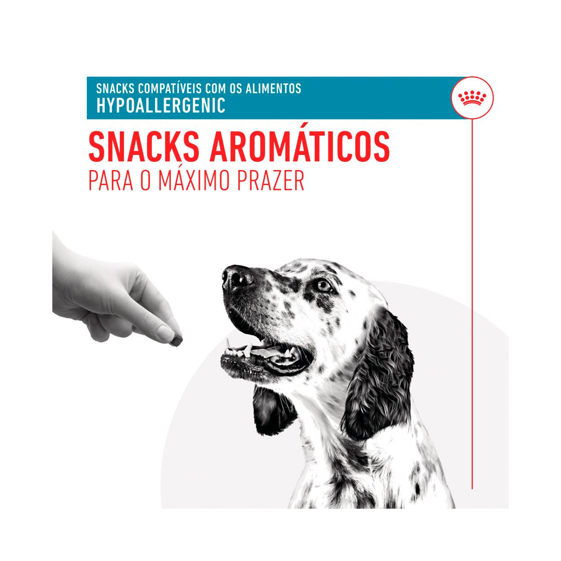 ROYAL CANIN SNACK HYPOALLERGENIC CAO - 230GR