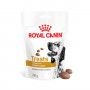 ROYAL CANIN SNACK URINARY CAO - 230GR