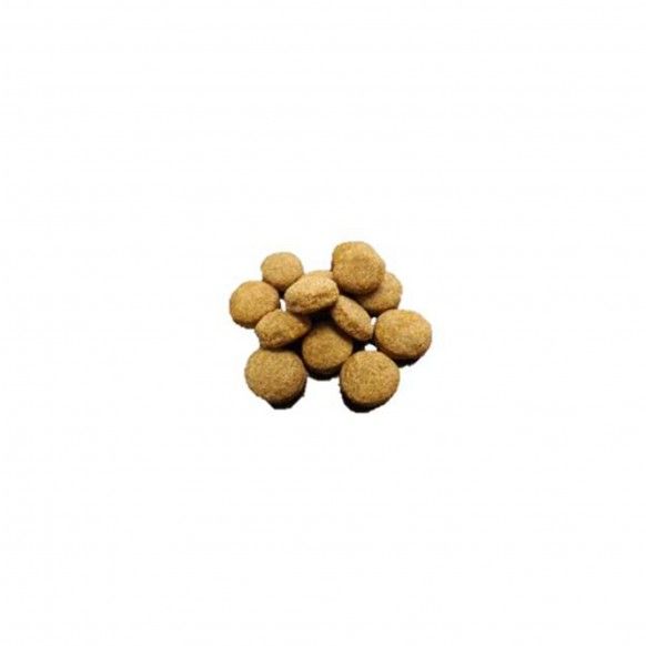 PATUDINI CAO ADULTO MANUTENAO - 18KG