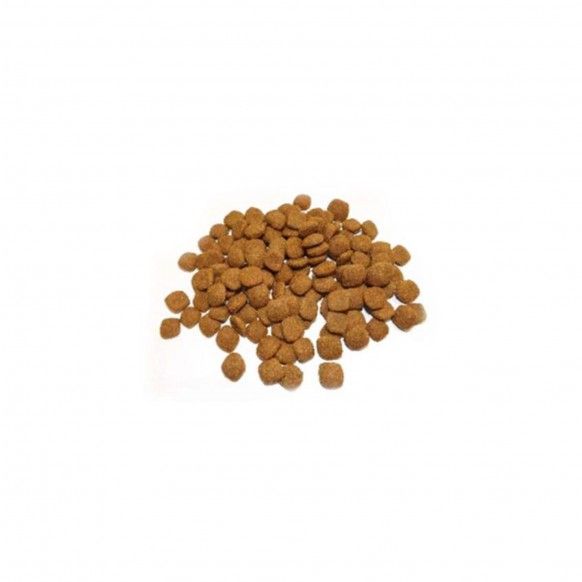 PATUDINI CAO ADULTO ALTA ENERGIA - 15KG