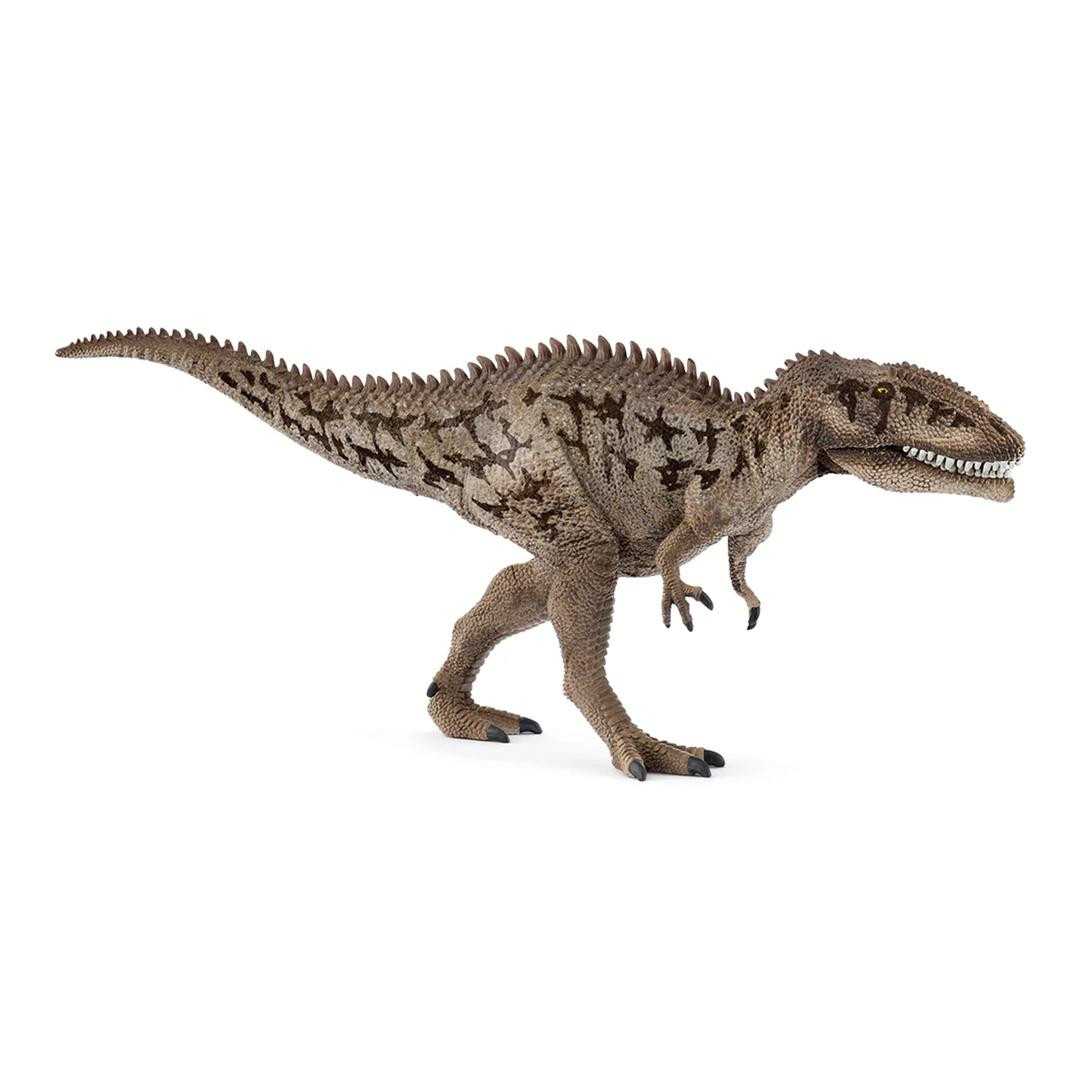 MINIATURA CARCHARODONTOSSAURO