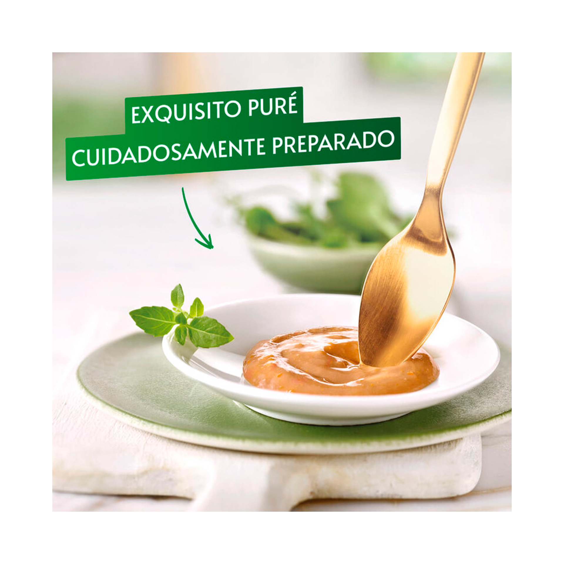 GOURMET NATURE CREATIONS SALMAO - 5X10GR