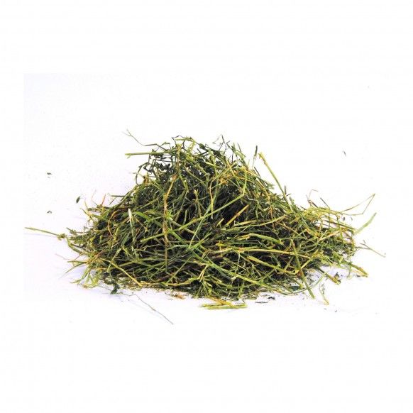 FENO LUZERNA XXL - 80L FENO LUZERNA XXL - 80L