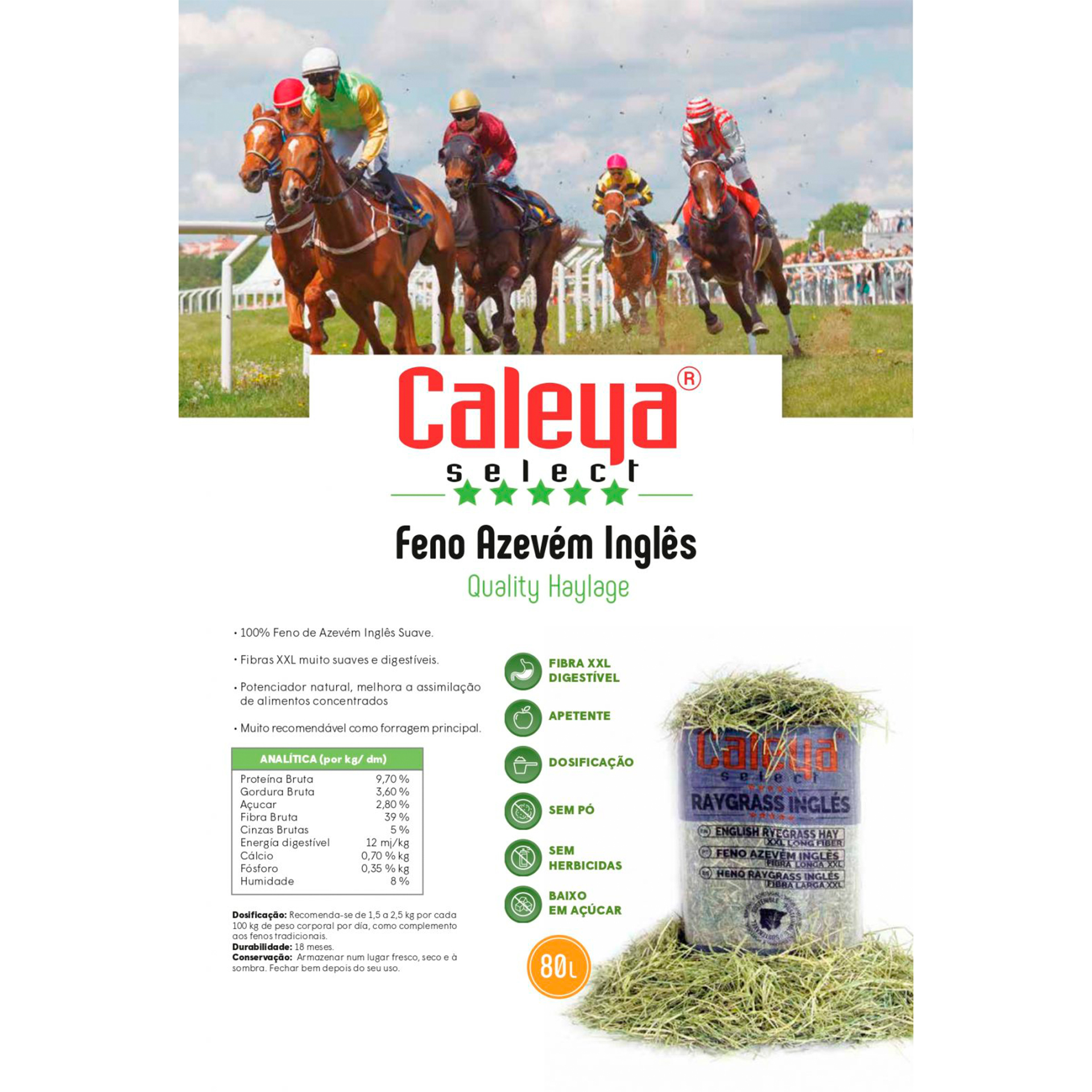 SELECT HAY FENO AZEVEM - 80L