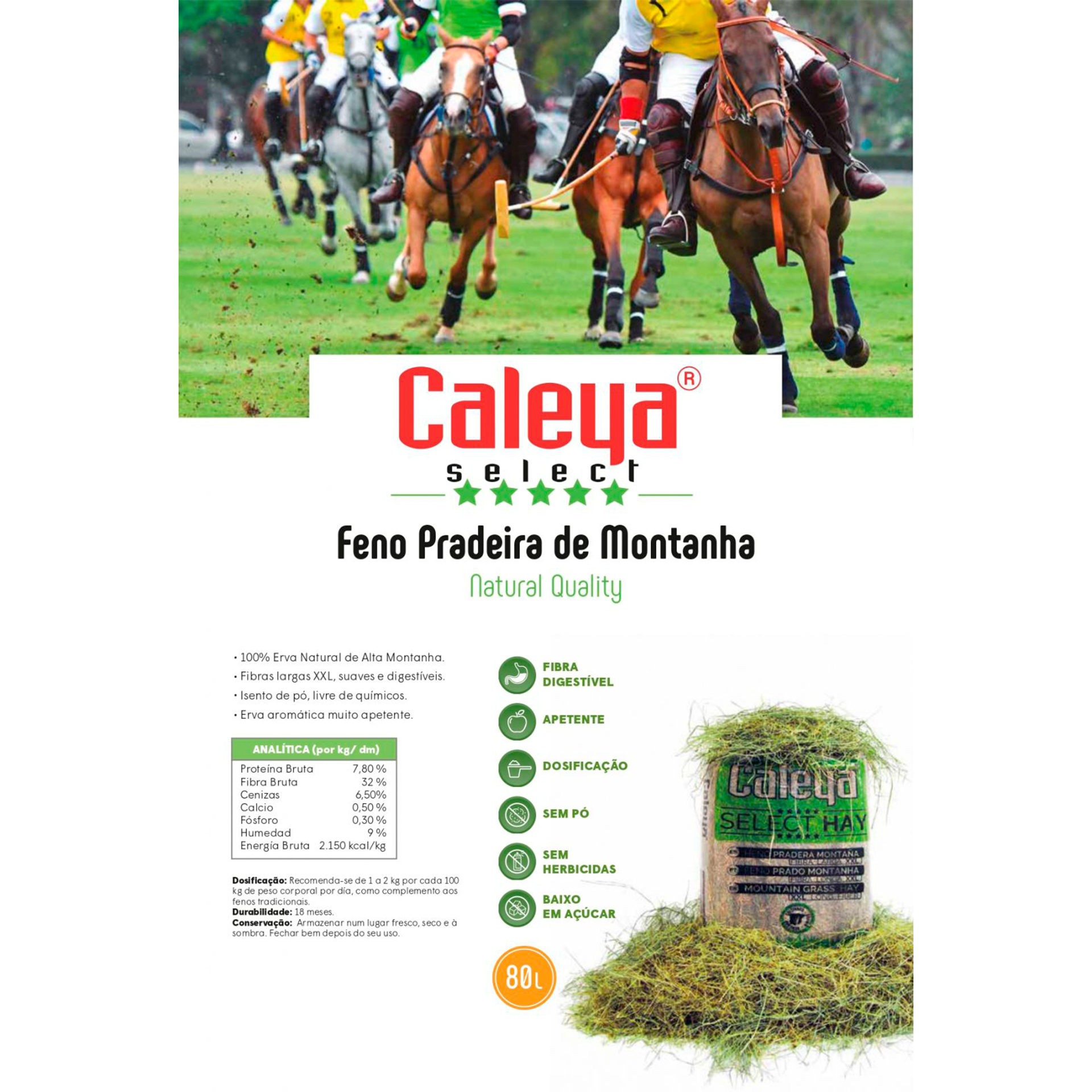 SELECT HAY FENO PRADO DA MONTANHA - 80L