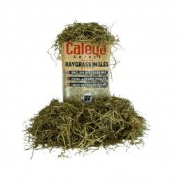 SELECT HAY FENO AZEVEM - 80L