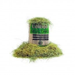 SELECT HAY FENO PRADO DA MONTANHA - 80L