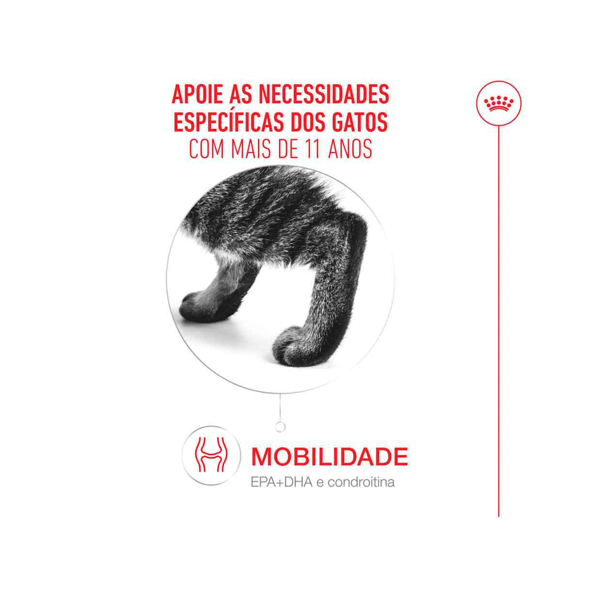 ROYAL CANIN CAT AGEING +11 - 2KG