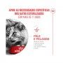 ROYAL CANIN CAT AGEING +11 STERILISED - 2KG