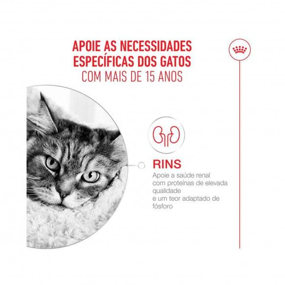 ROYAL CANIN CAT AGEING +15 - 2KG