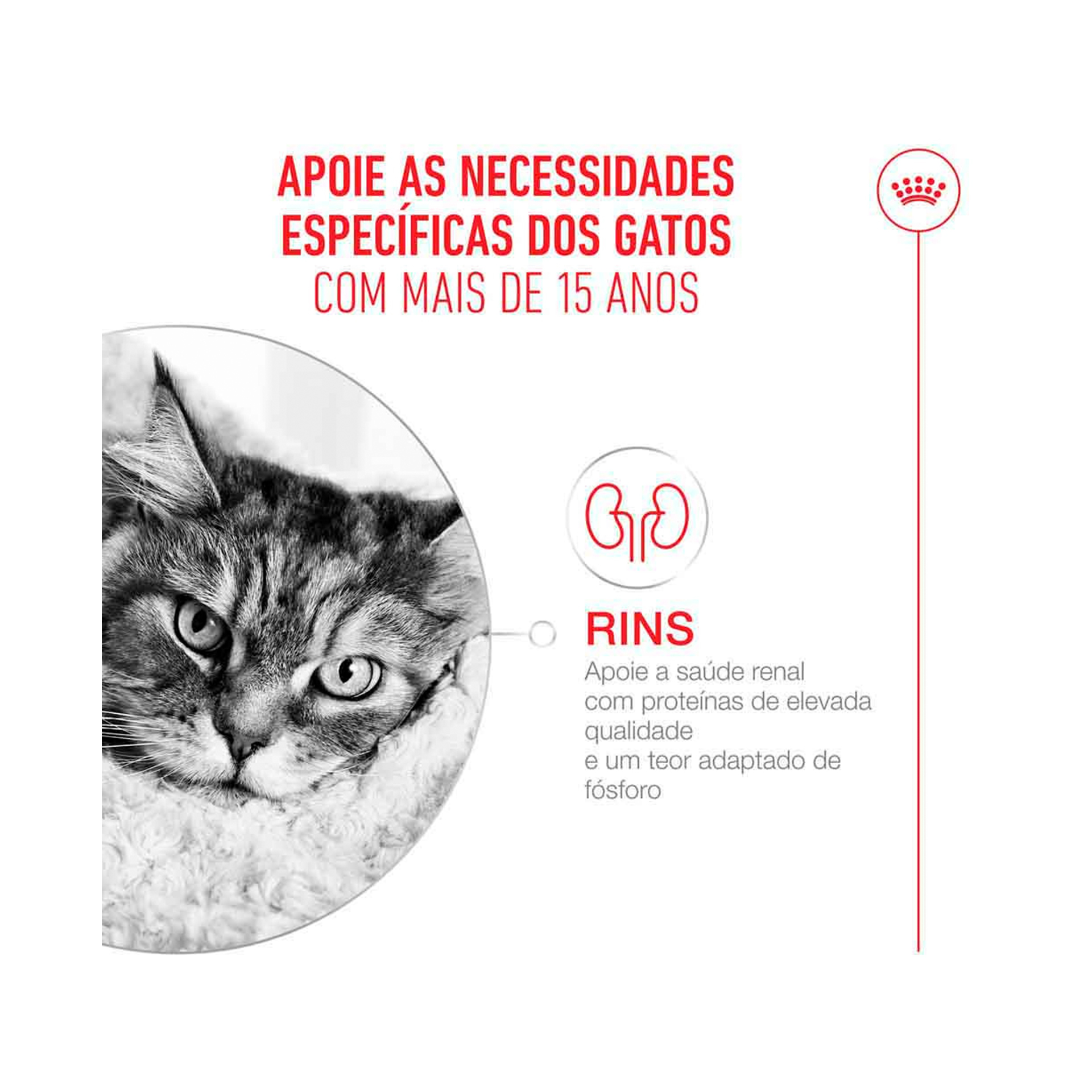 ROYAL CANIN CAT AGEING +15 - 2KG