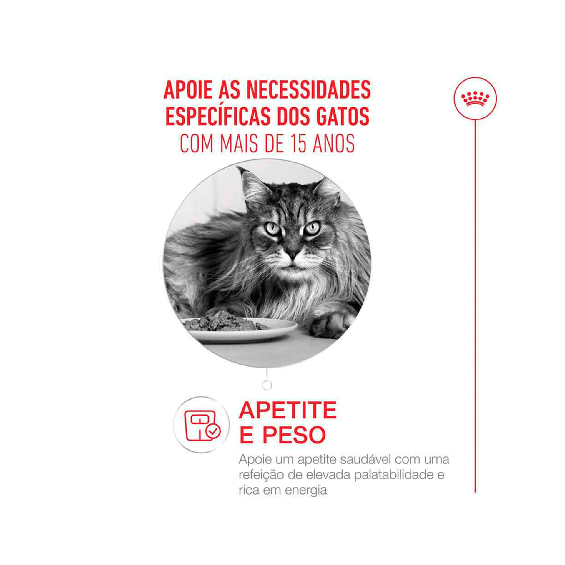 ROYAL CANIN CAT AGEING +15 - 2KG