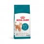 ROYAL CANIN CAT AGEING +15 - 2KG