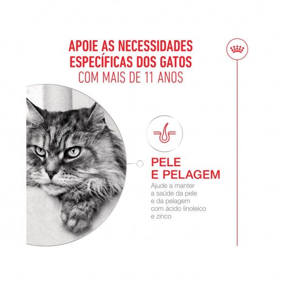 ROYAL CANIN AGEING 11+ - 85GR