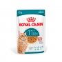 ROYAL CANIN AGEING 11+ - 85GR ROYAL CANIN AGEING 11+ - 85GR