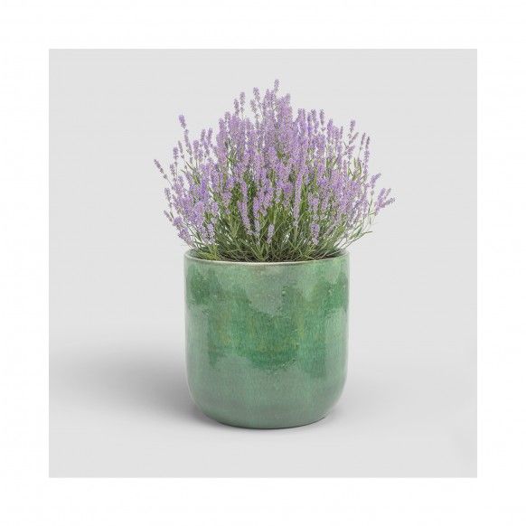 VASO JUPITER 16CM VERDE VASO JUPITER 16CM VERDE