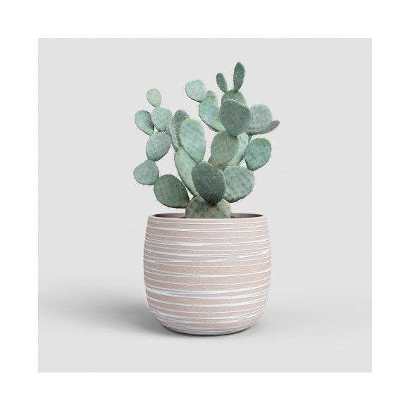 VASO DORIS 20CM CREME