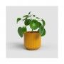 VASO LUNA 15CM AMARELO VASO LUNA 15CM AMARELO