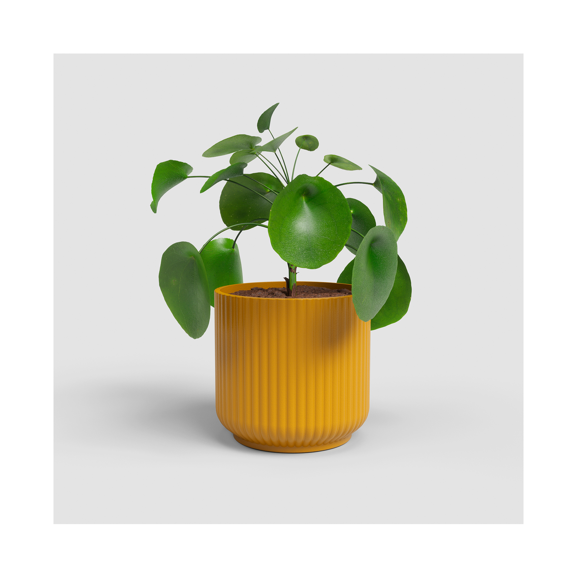 VASO LUNA 15CM AMARELO
