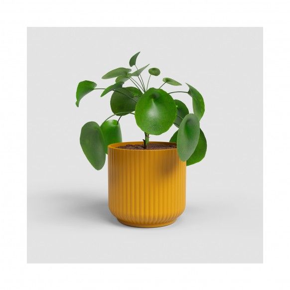 VASO LUNA 15CM AMARELO VASO LUNA 15CM AMARELO